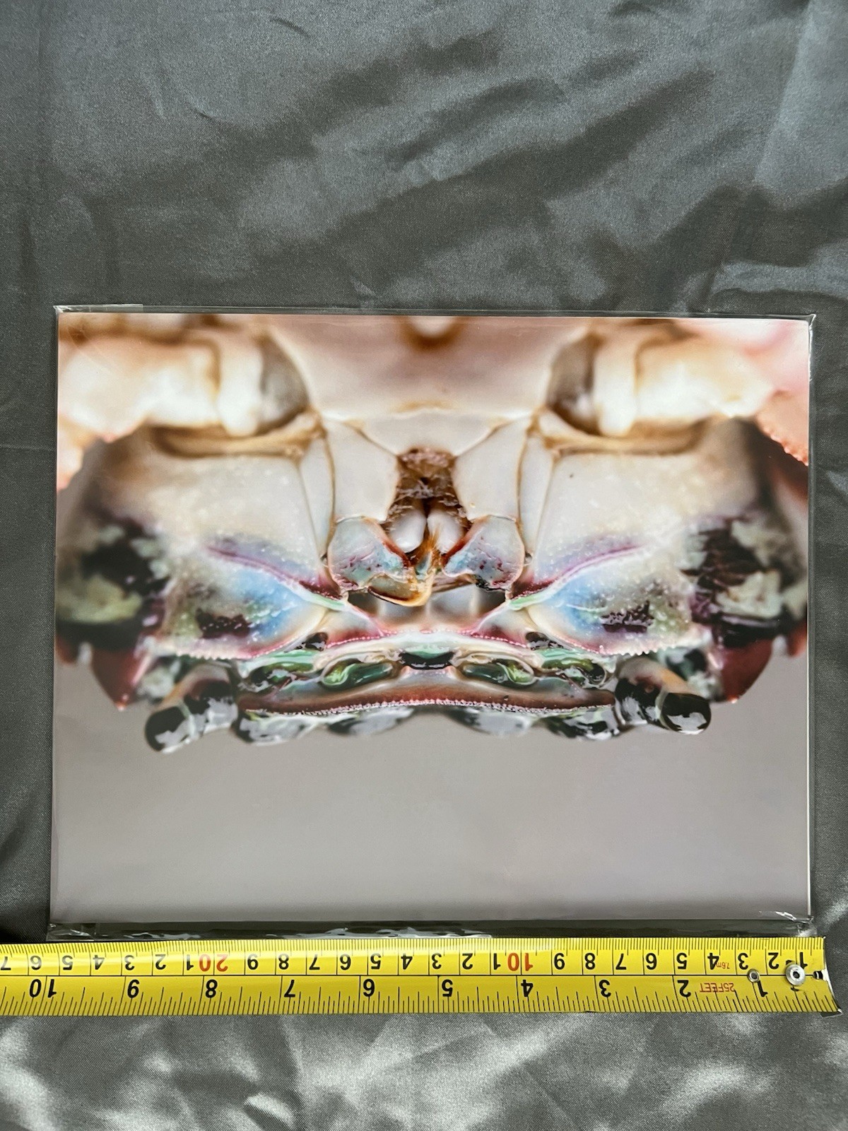 Girl In Water Photography Macro Crab Close-Up Color Photo Print 8×10 Landscape