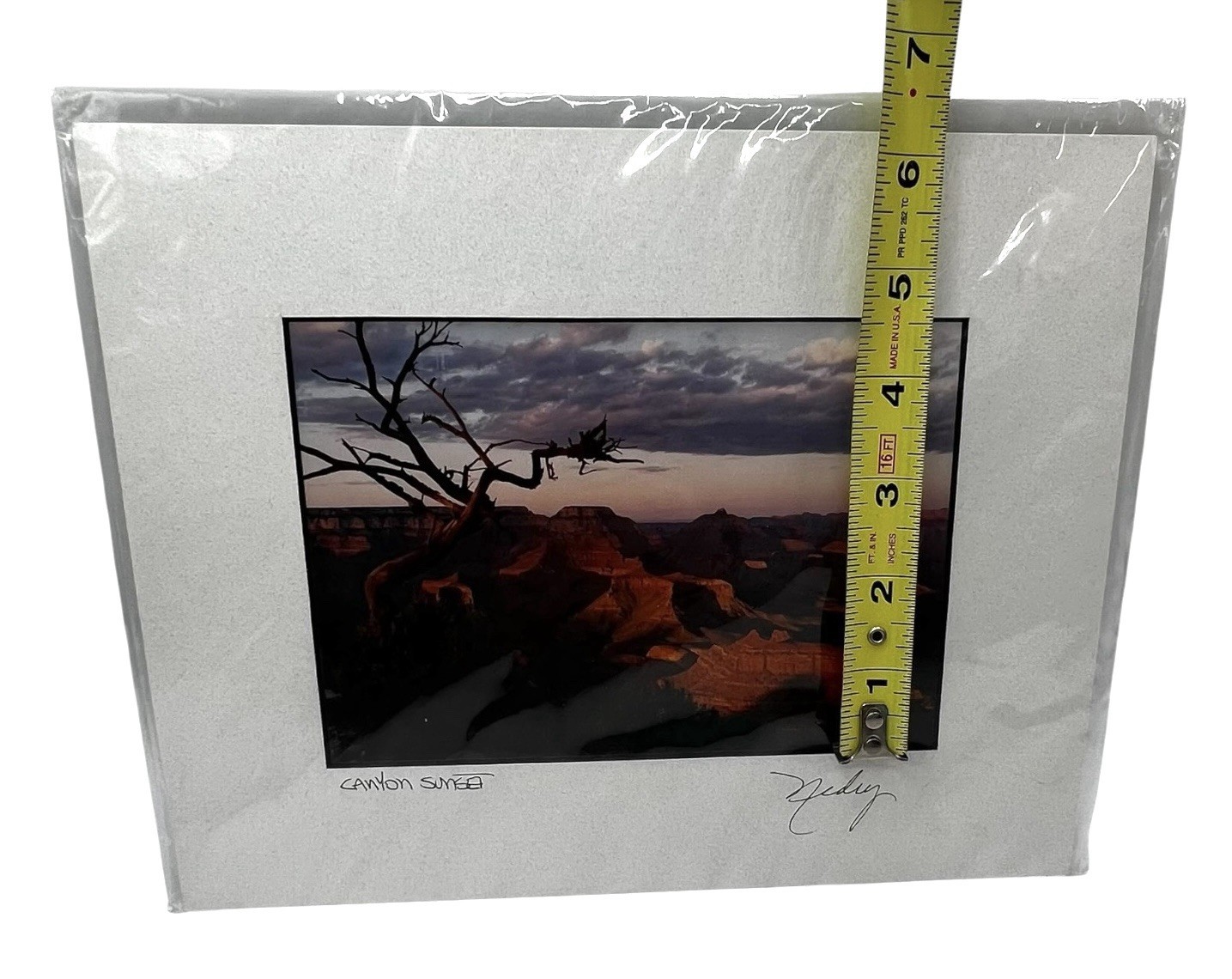 Canyon Sunset Signed Photo The Grand Canyons Landscape 4.5 x 6.5 Matted 8 x 10
