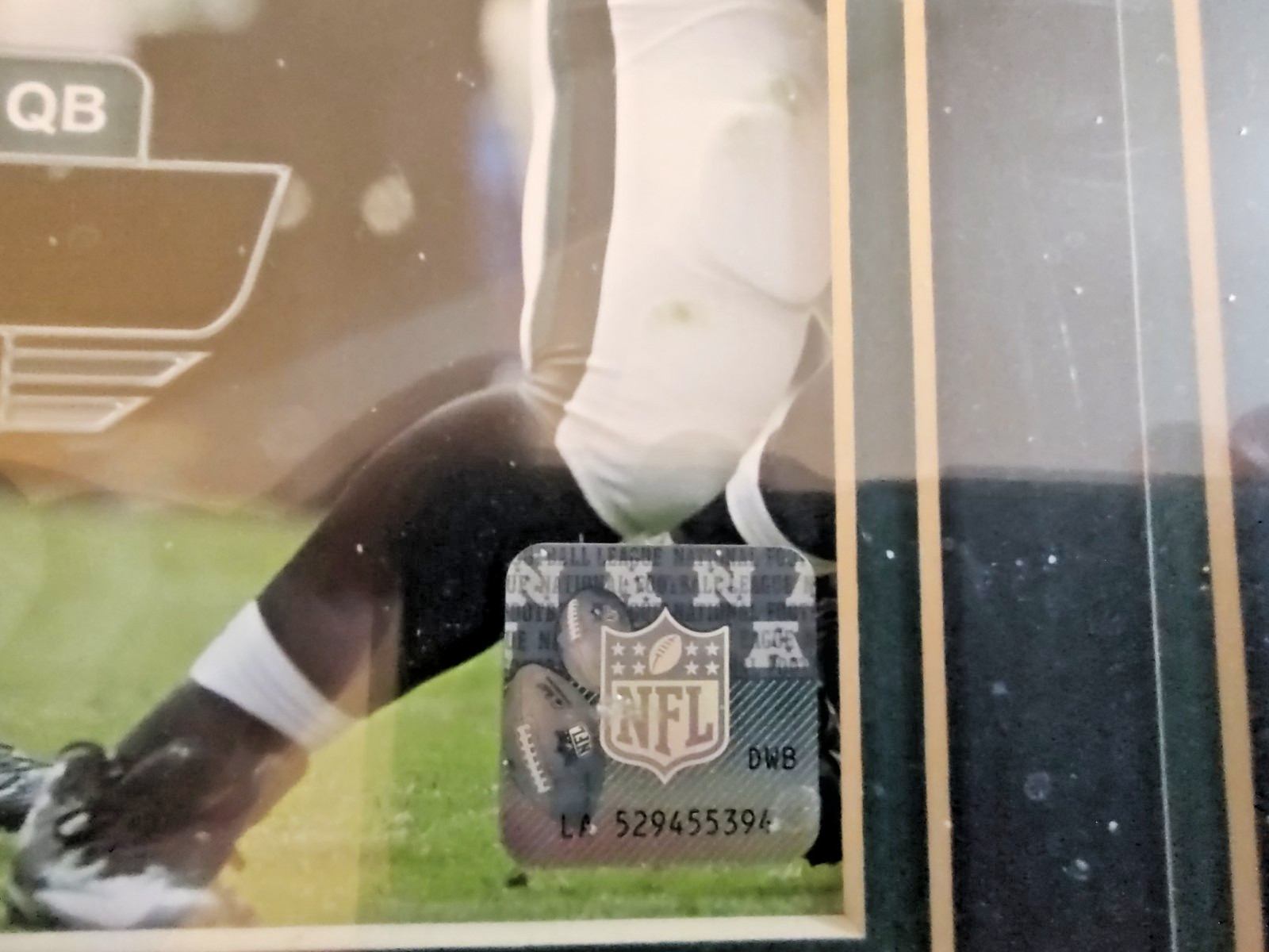 Carson Wentz Philadelphia Eagles First Touchdown Pass Framed 16 x 16