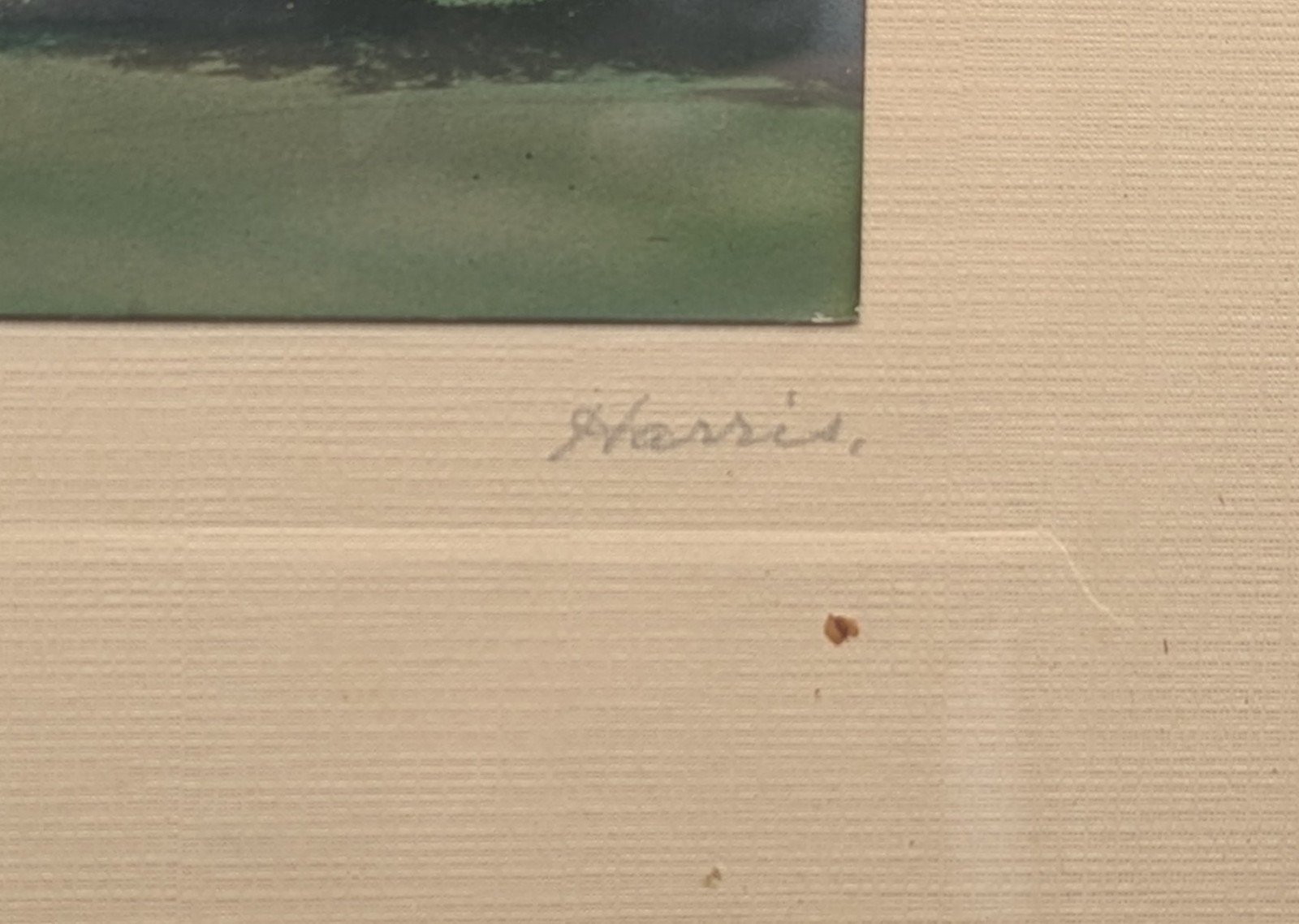 Vintage Framed HARRIS Hand Painted photo Circa early 20TH century Lake Placid NY