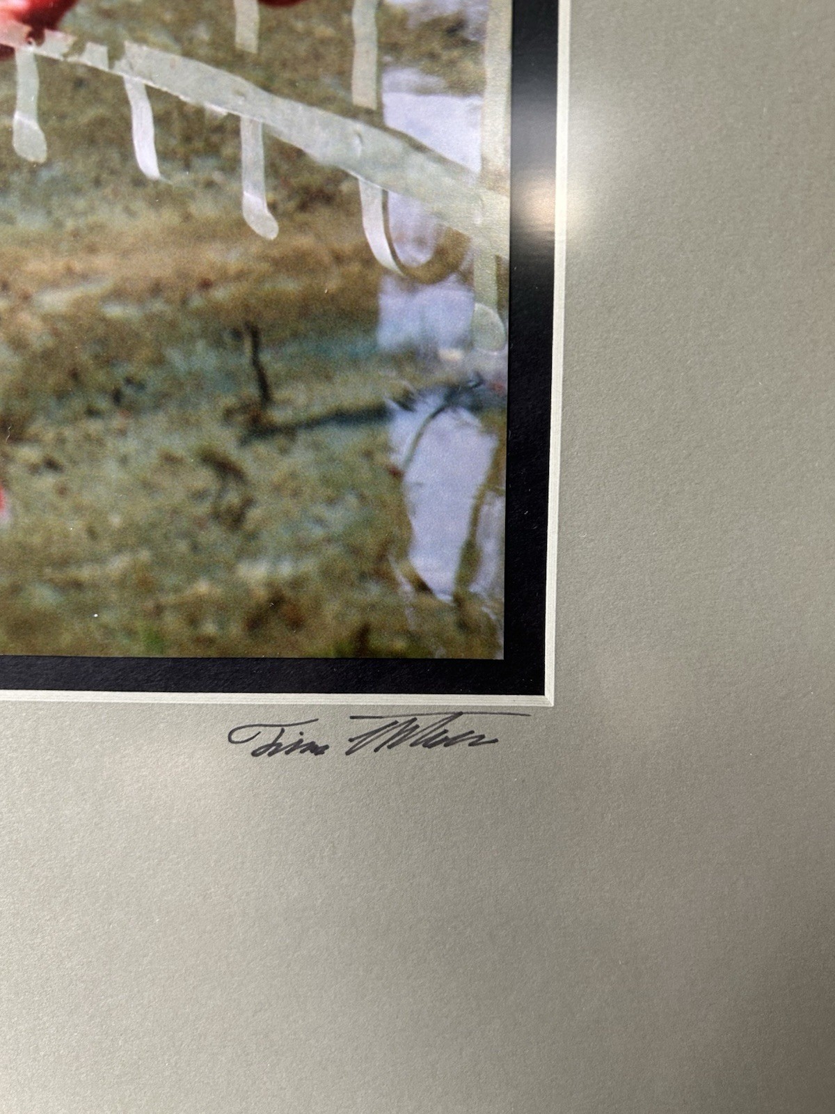 Original Photograph Black Cat Koi Pond Signed Framed Matted Truguard UV Guard
