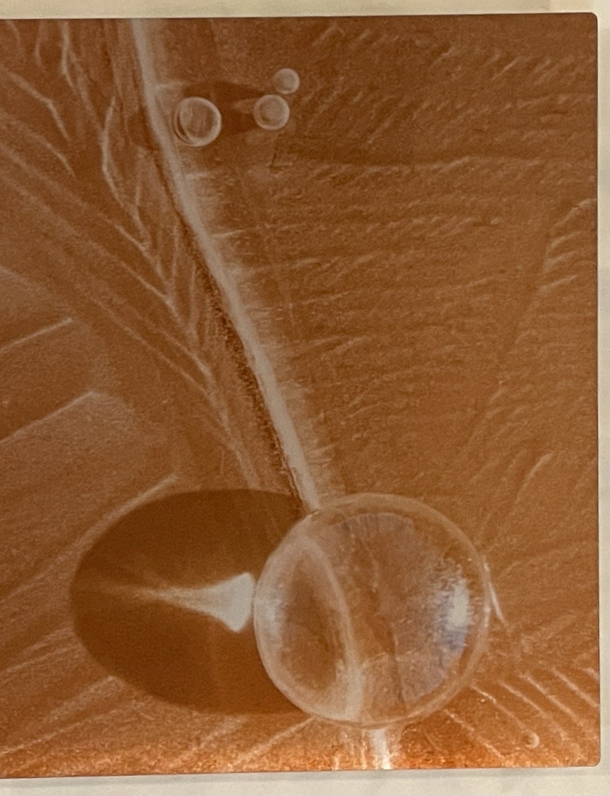Original Photograph On Metal Sedona,Arizona By Claudia Cooke