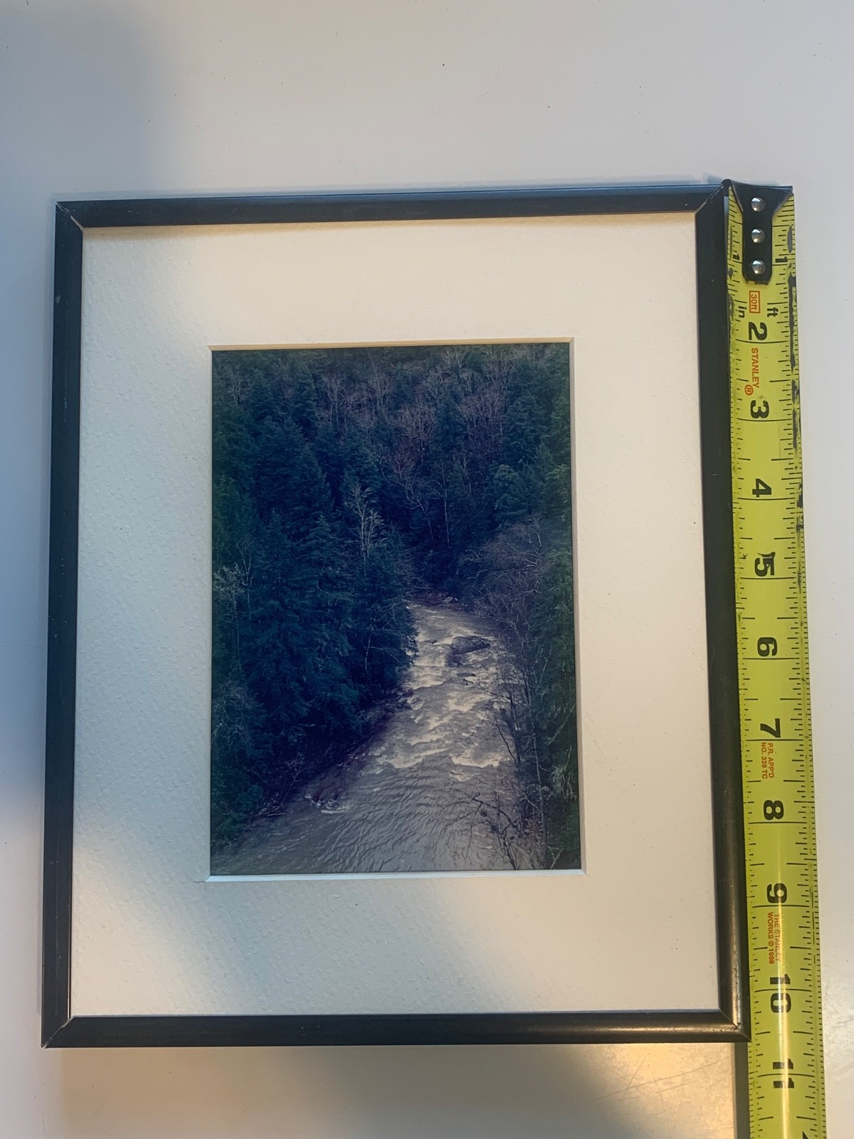 Decorative Color Landscape Photograph River and Forest Scene