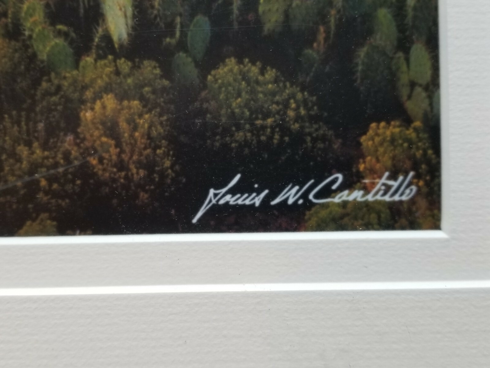 Louis Cantillo Signed Photograph “Sedona Arizona”