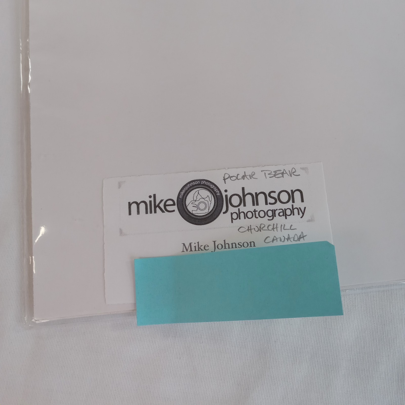 Polar Bear Photography Prints Set of 2 Matted Wildlife Art Photos Mike Johnson