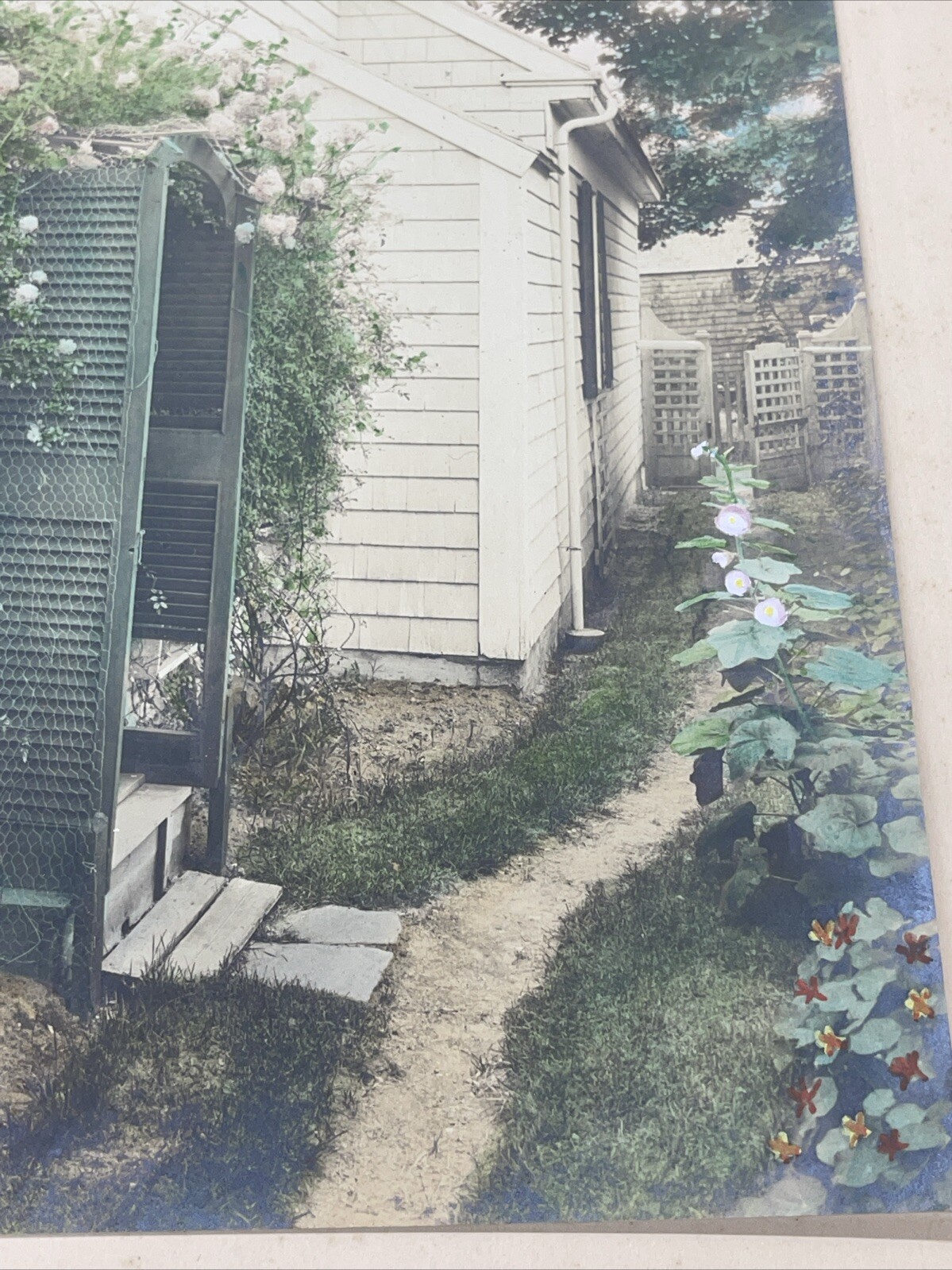 H. Marshall Gardiner Nantucket, MA Hand Colored Photo Print Signed Sweet Flower