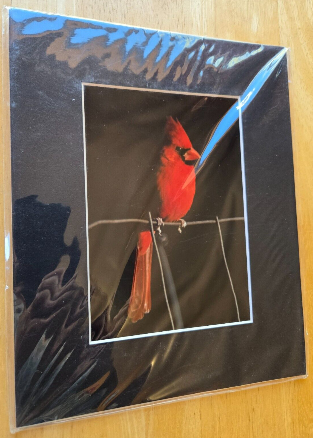 Cardinal Bird 5″ X 7″ Unsigned Photograph on 8″ X 10″ Black Cardboard Frame