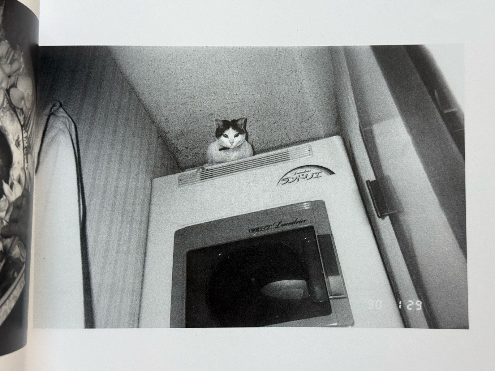 🎈Signed! UNIQUE! Nobuyoshi Araki – Sentimental Journey / Winter 1991, First Ed