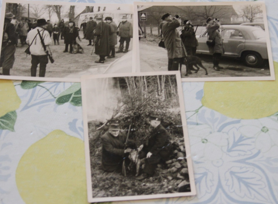 3x photo men hunter 1962 hunting dog passenger car vintage year of manufacture