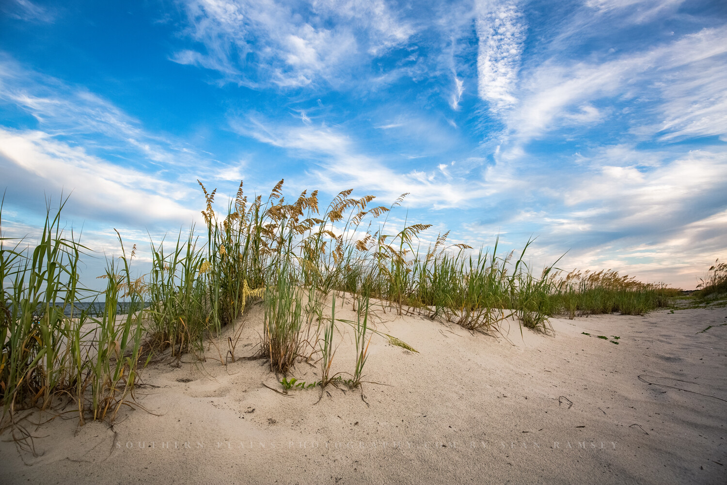 Coastal Photography Print – Picture of Sand Dunes and Sea Oats in South Carolina