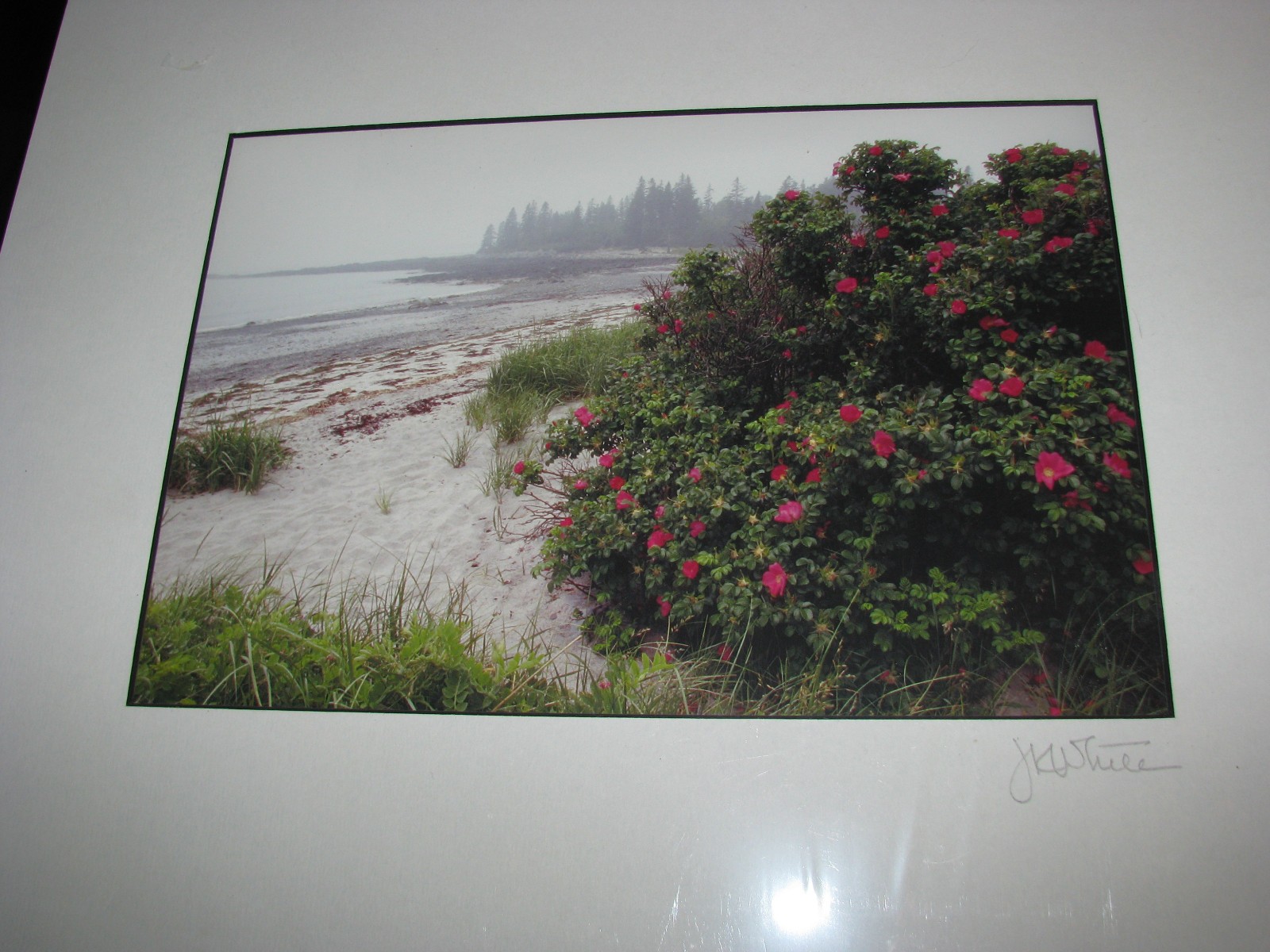 J. K. White Hope Maine Five Matted Signed Photographs Summer Scenes
