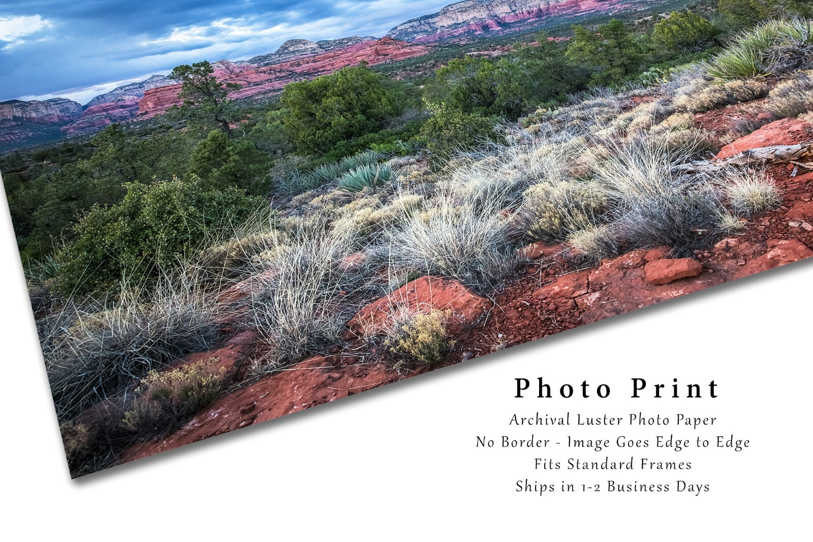 Photography Print of Red Rocks and Desert Landscape Near Sedona Arizona
