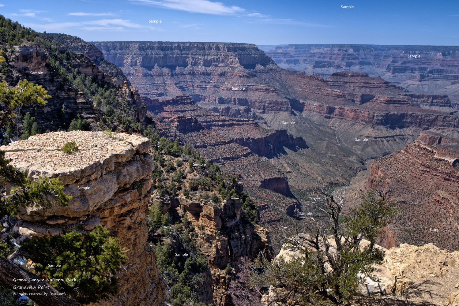 Grand Canyon National Park Grandview Point Arizona Poster Photo Print GC01