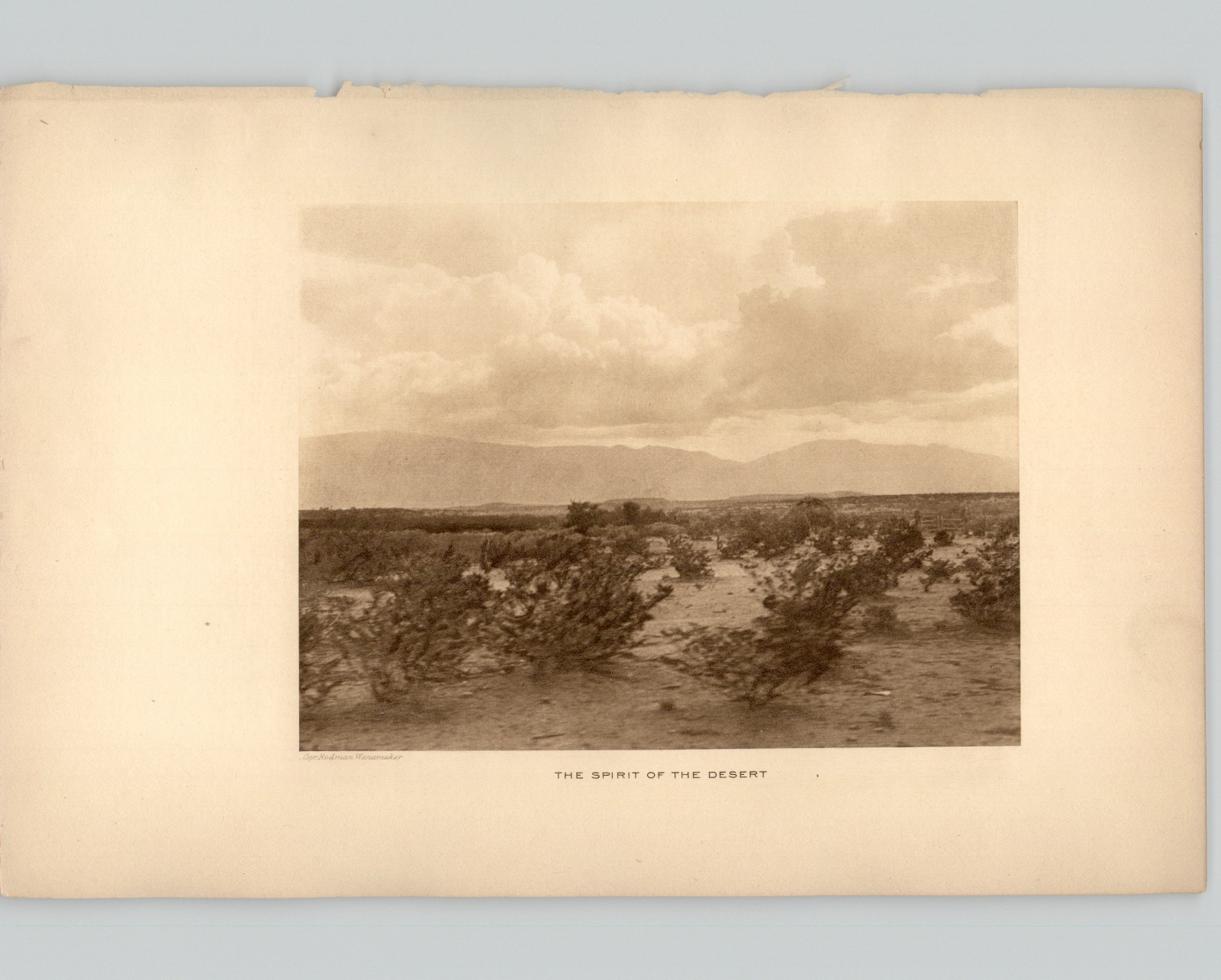 Wanamaker/Dixon “The Spirit of the Desert” 1913 Photogravure The Vanishing Race