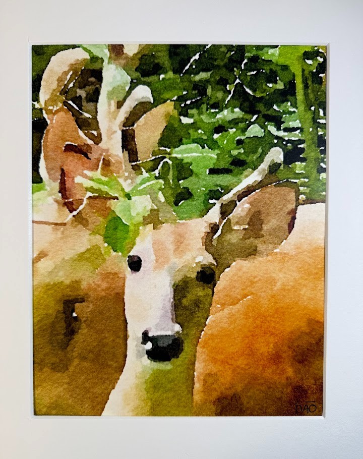 Dear Deer Digital Watercolor Original Art Photograph 8 X 10 Mat 11 X 14 – Signed