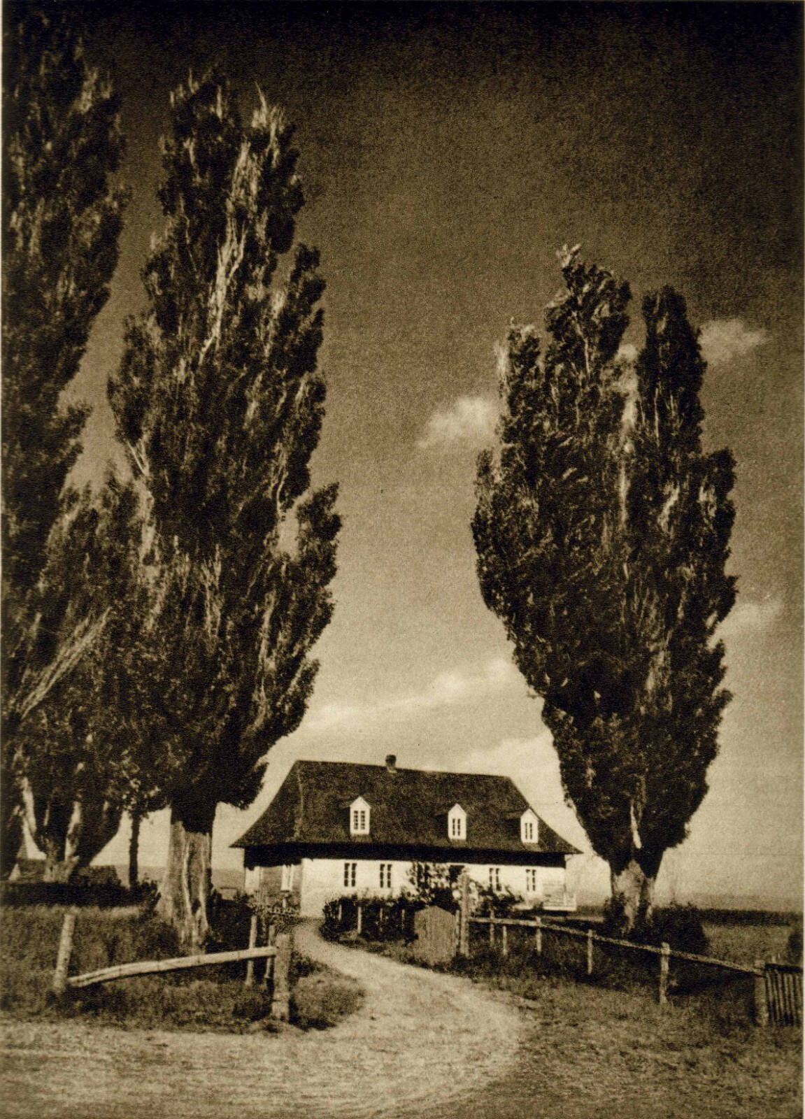 Pictorial Artistry (Adolf Fassbender) Signed & Numbered First Edition 40 photos