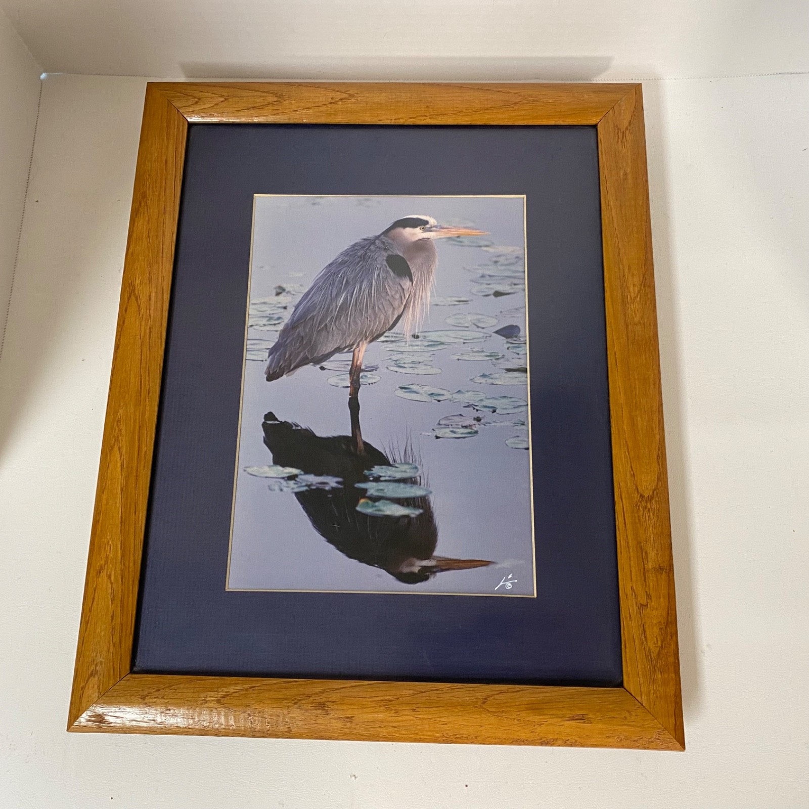 James Stamates 92 • Framed Art Photo • Reflection of Nature • Great Blue Heron