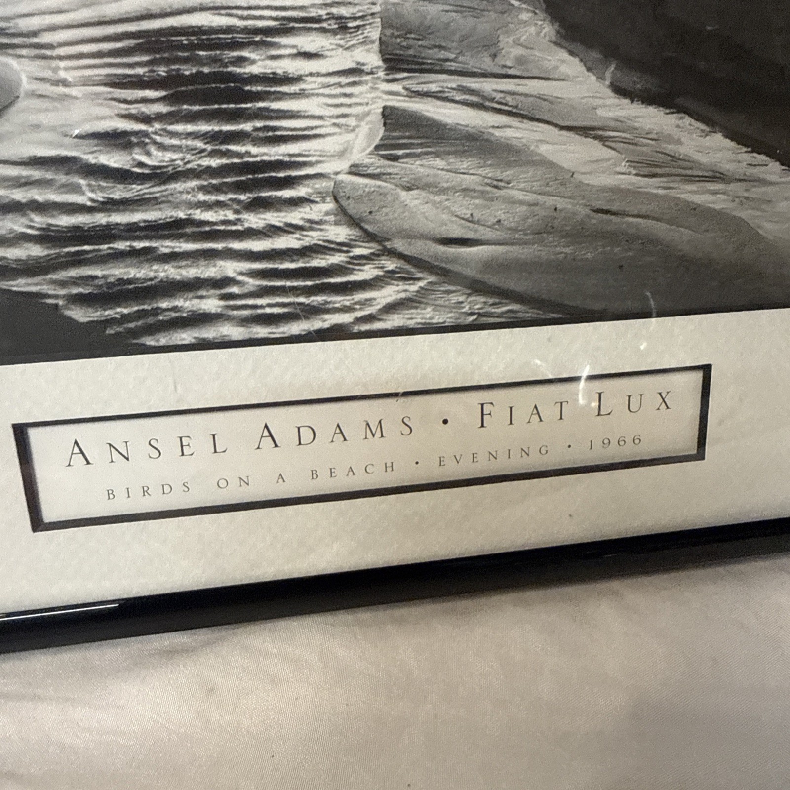 Ansel Adams Birds on a Beach Evening Framed Framed 1966 Photo 12×14 Wall Art VTG