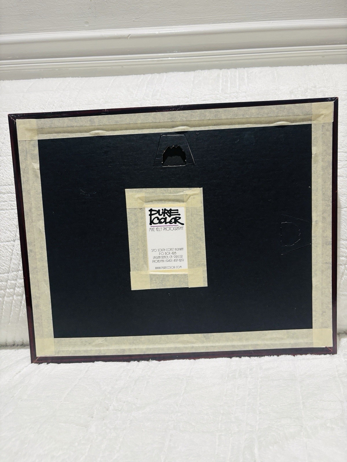 Mike Kelly Framed Limited Edition Photograph Polar Bears in Snow Signed 16/1200