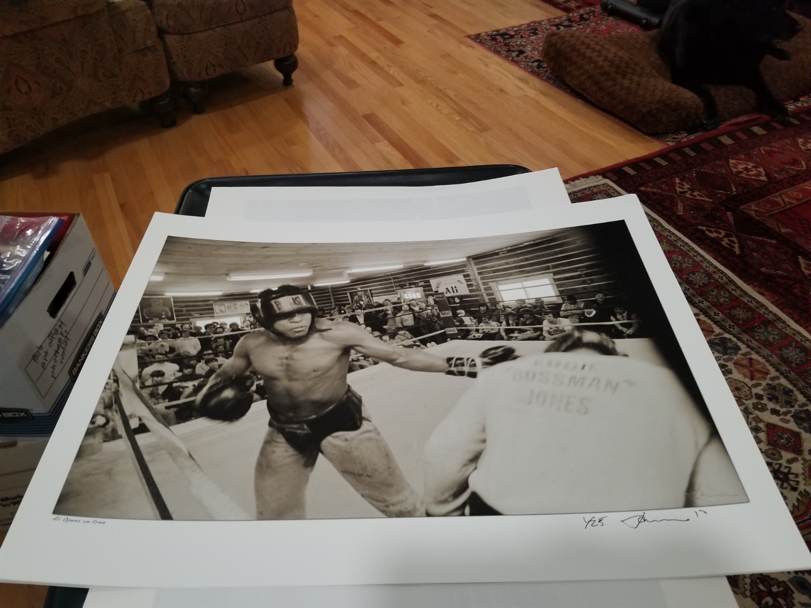 Muhammad Ali: “Ali Opens on Ernie” – Limited Edition Print #1/25