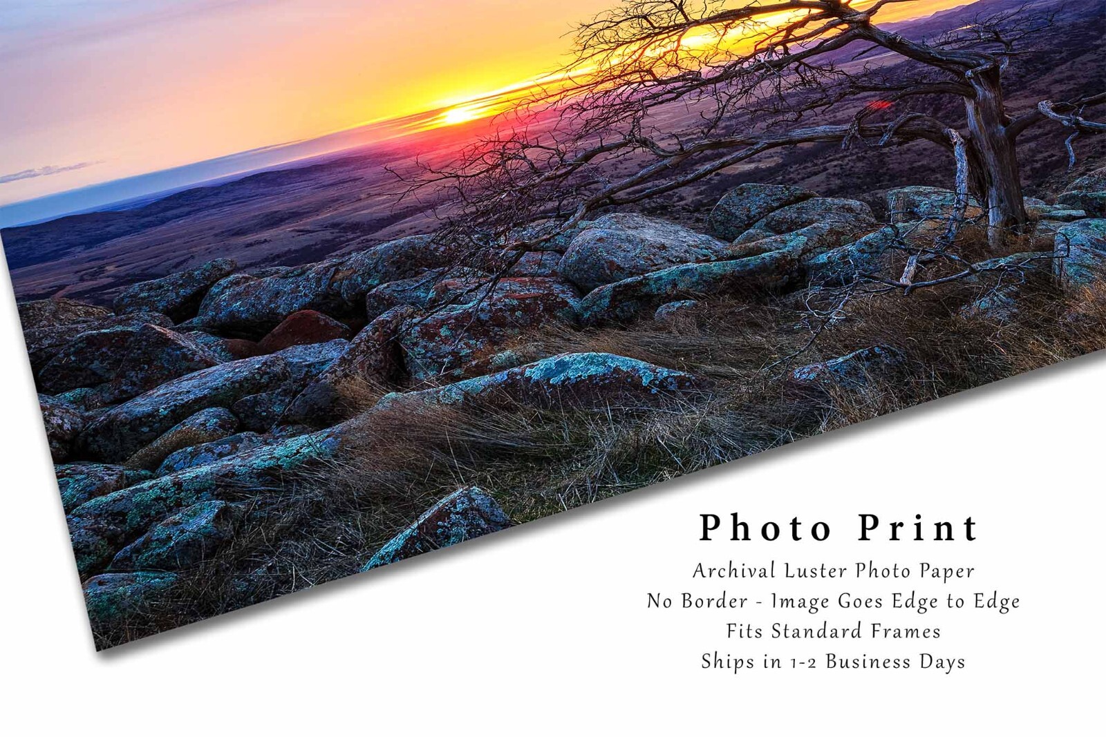 Wichita Mountains Photography Print | Tree at Sunset Picture | Oklahoma Wall Art