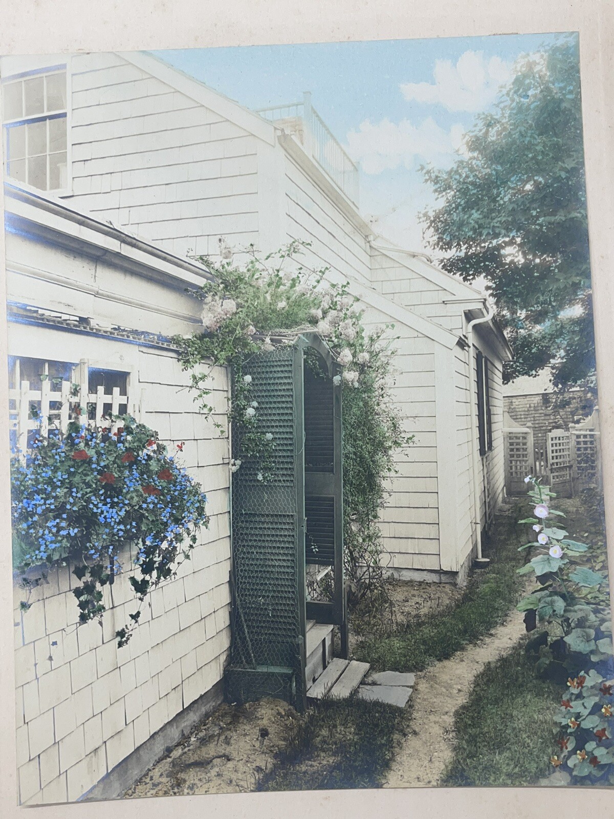H. Marshall Gardiner Nantucket, MA Hand Colored Photo Print Signed Sweet Flower