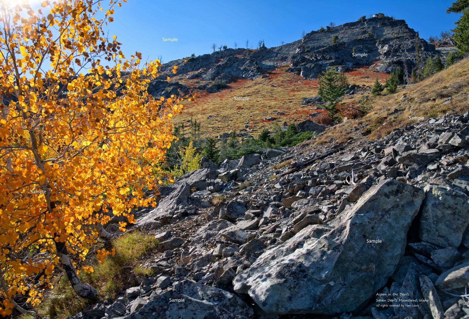 Seven Devils Mountains Idaho Fall Color Aspen Landscape Photo Poster Print SD16
