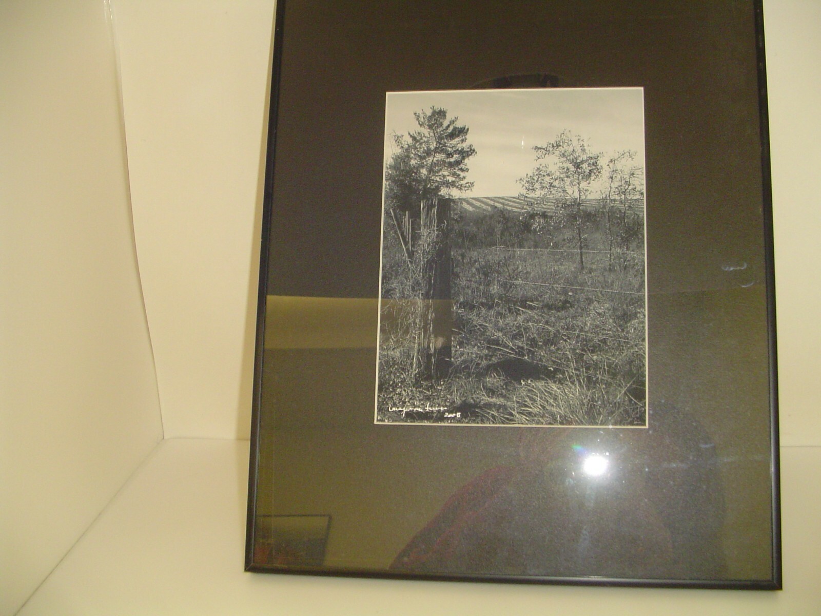 ART PHOTOGRAPHY grass with trees art black & white by L. Santucci Frame 16x20in