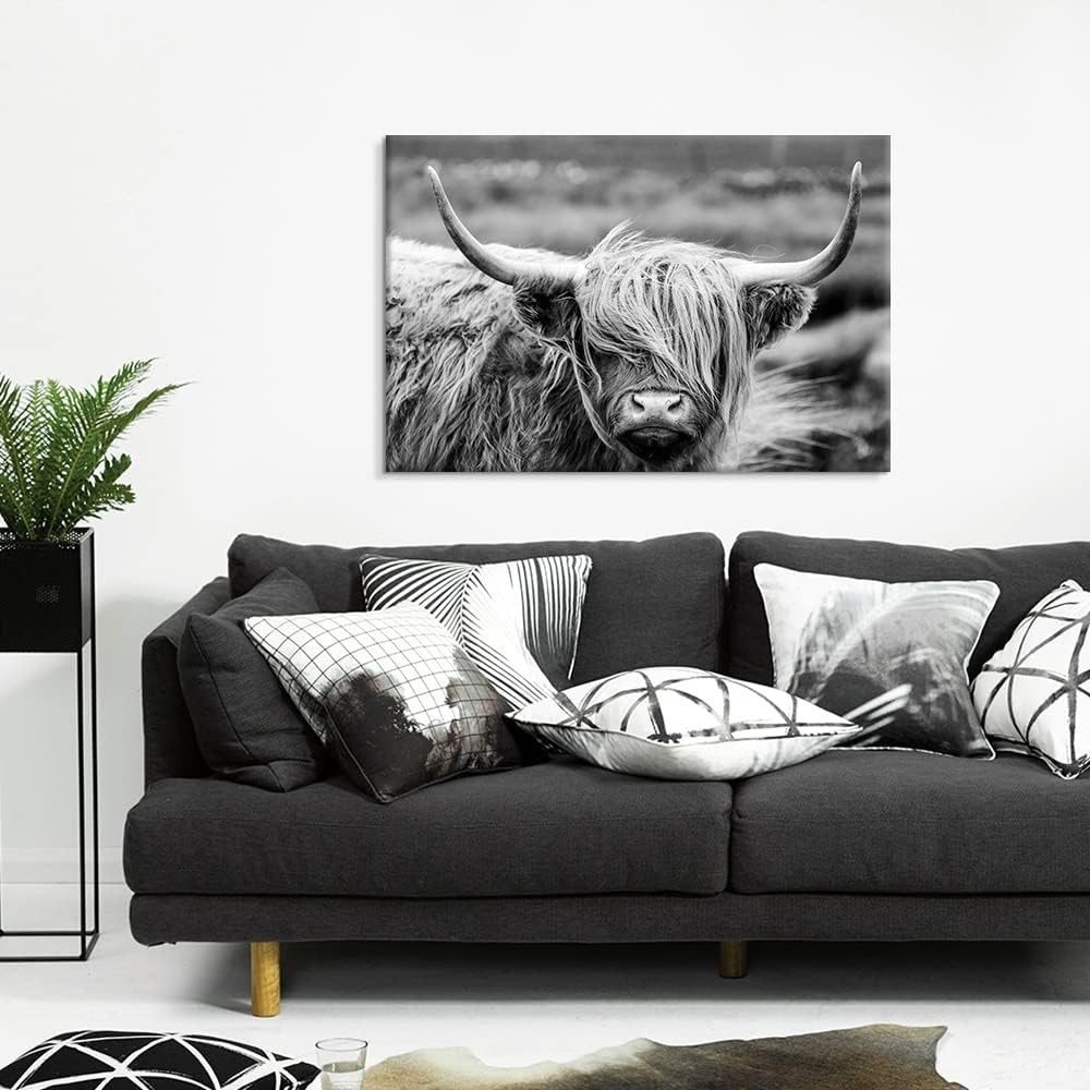 Highland Cow Photography Wildlife Portrait Picture Black and White Closeup An…