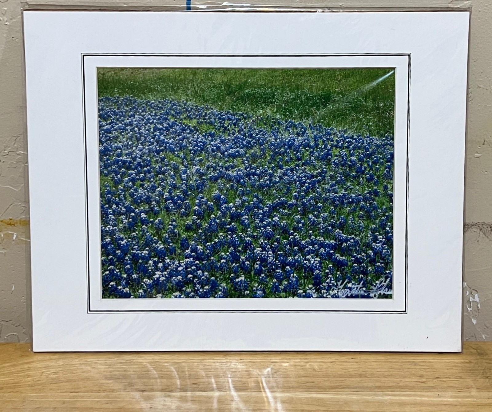 Color photograph signed matted 11 x 14 inch Texas Bluebonnets field