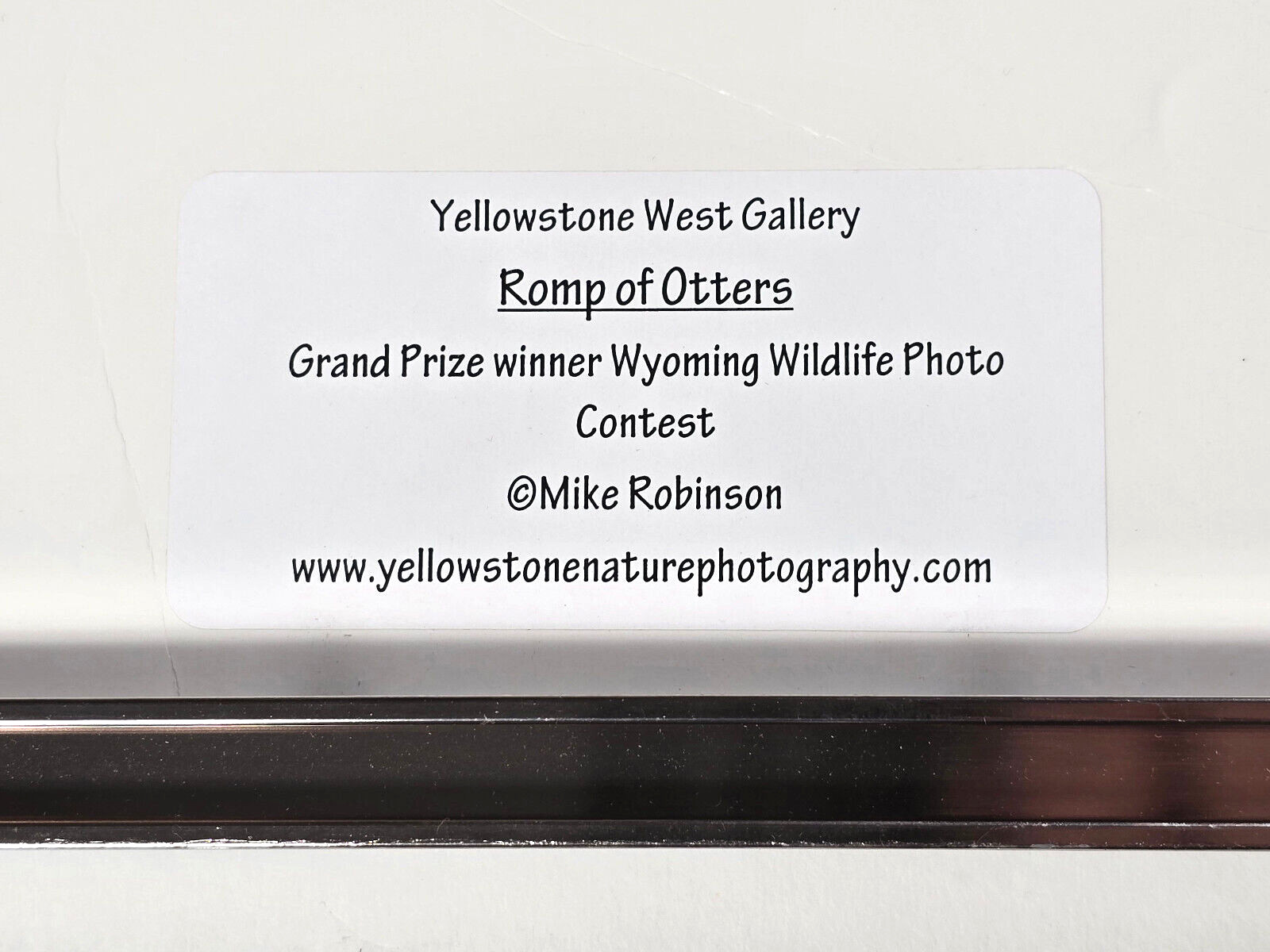 Signed Matted & Framed Award Winning Photograph by Mike Robinson, Romp of Otters