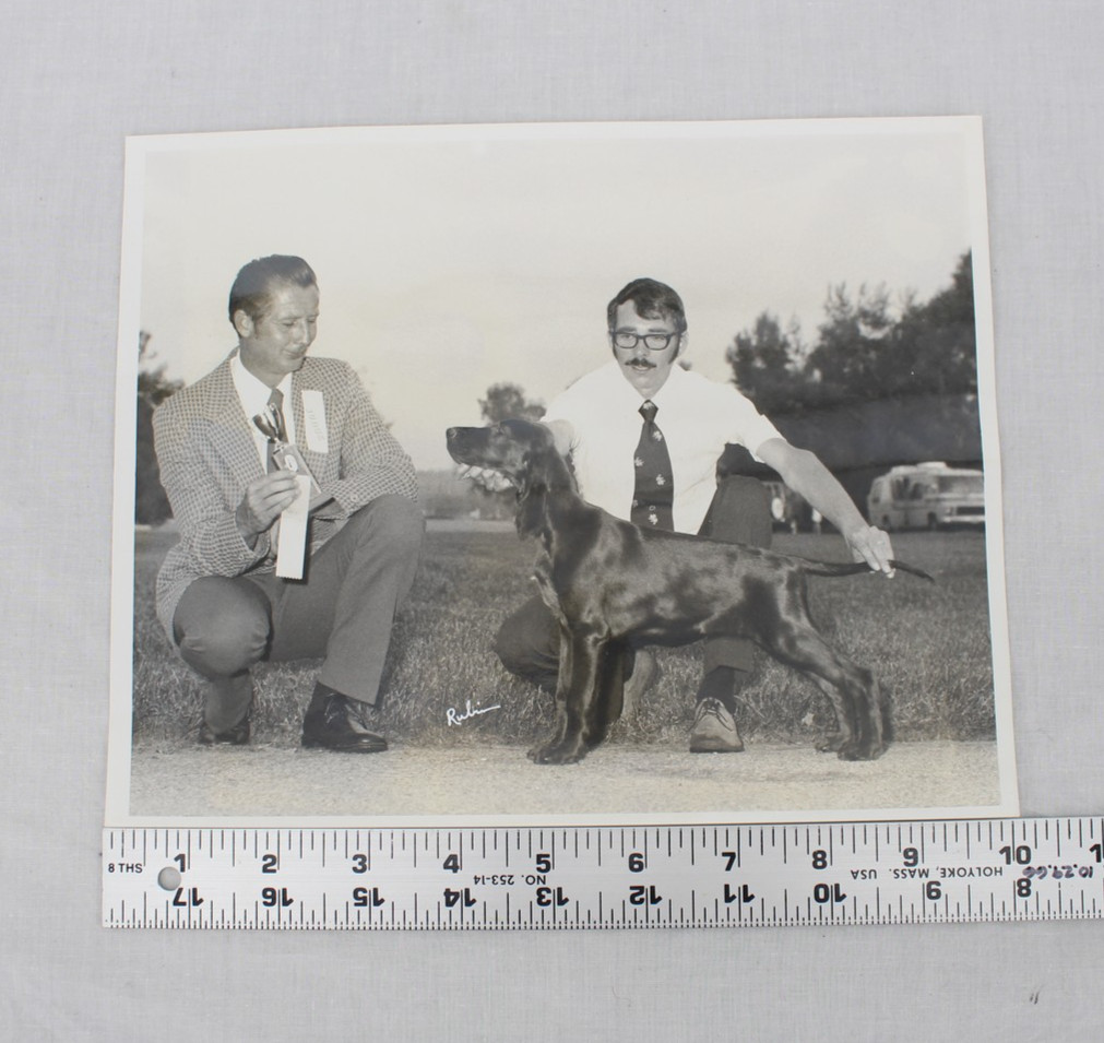 Vintage Dog Show Photograph Setter Signed Rubin 8×10 Award Ribbon 1970s Photo