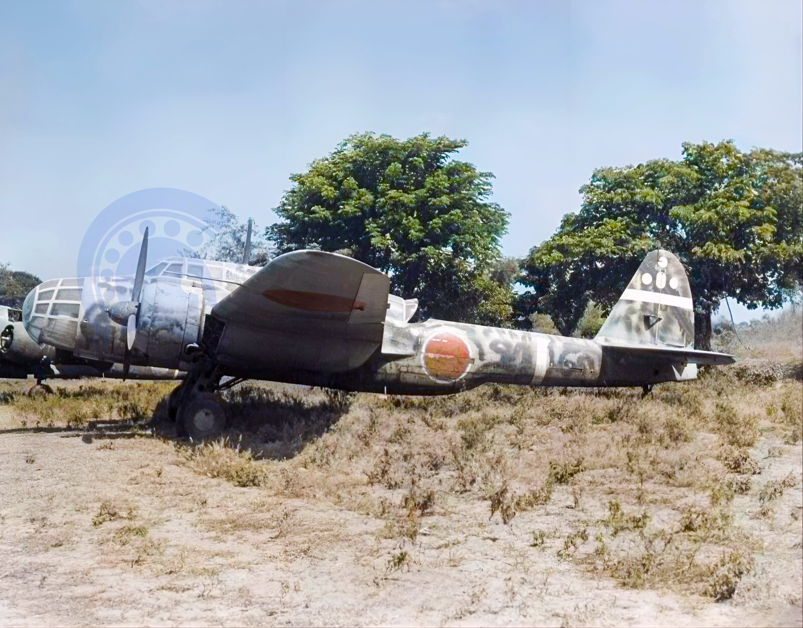 WW2 Colorized Nakajima Ki-43 II Otsu Hayabusa (Oscar) 248 Sentai in PNG 1944