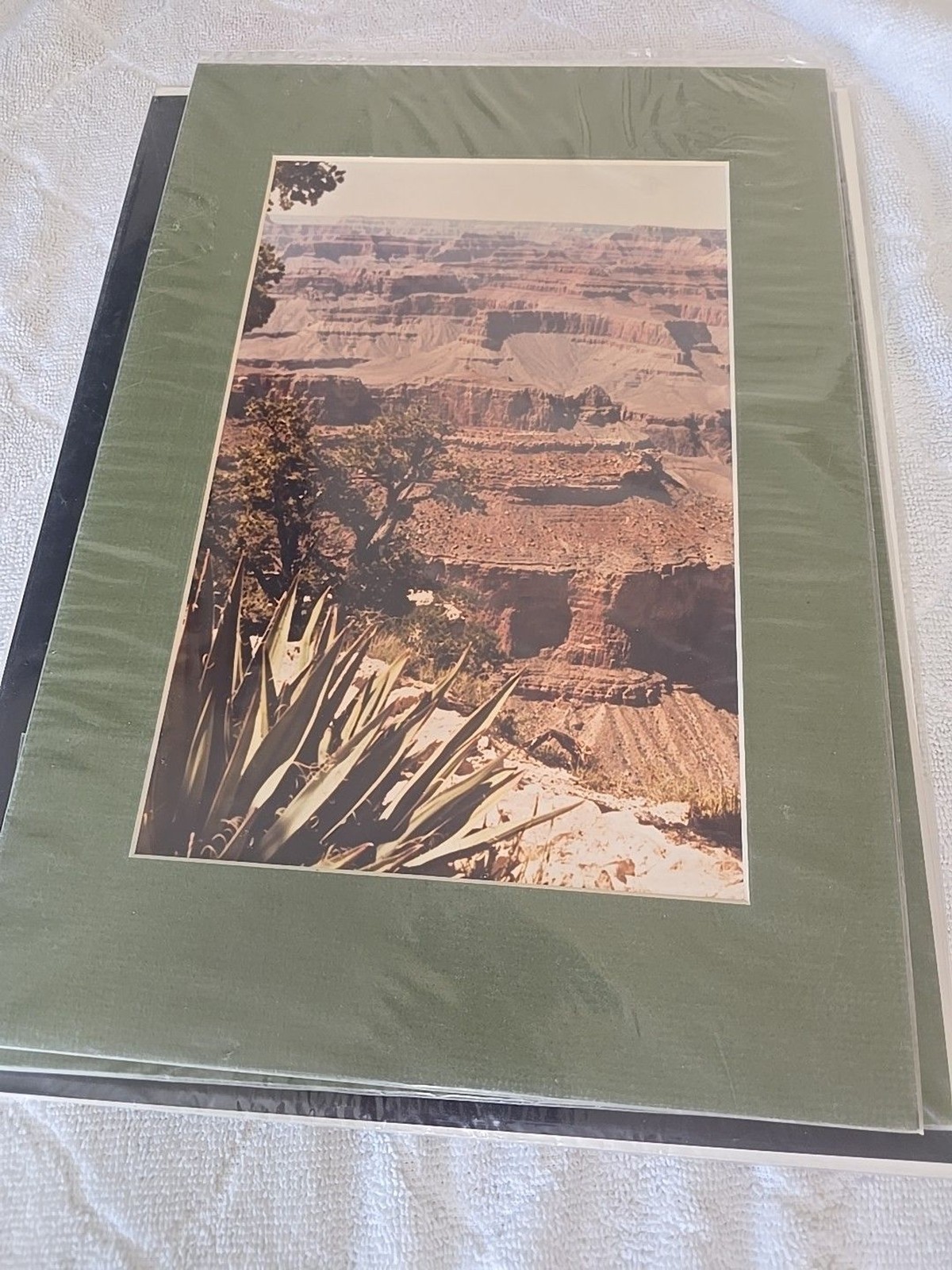 Lot Of 11 Western Landscape Photos 11×16, 12×16, 11×16 Mountains Wildlife