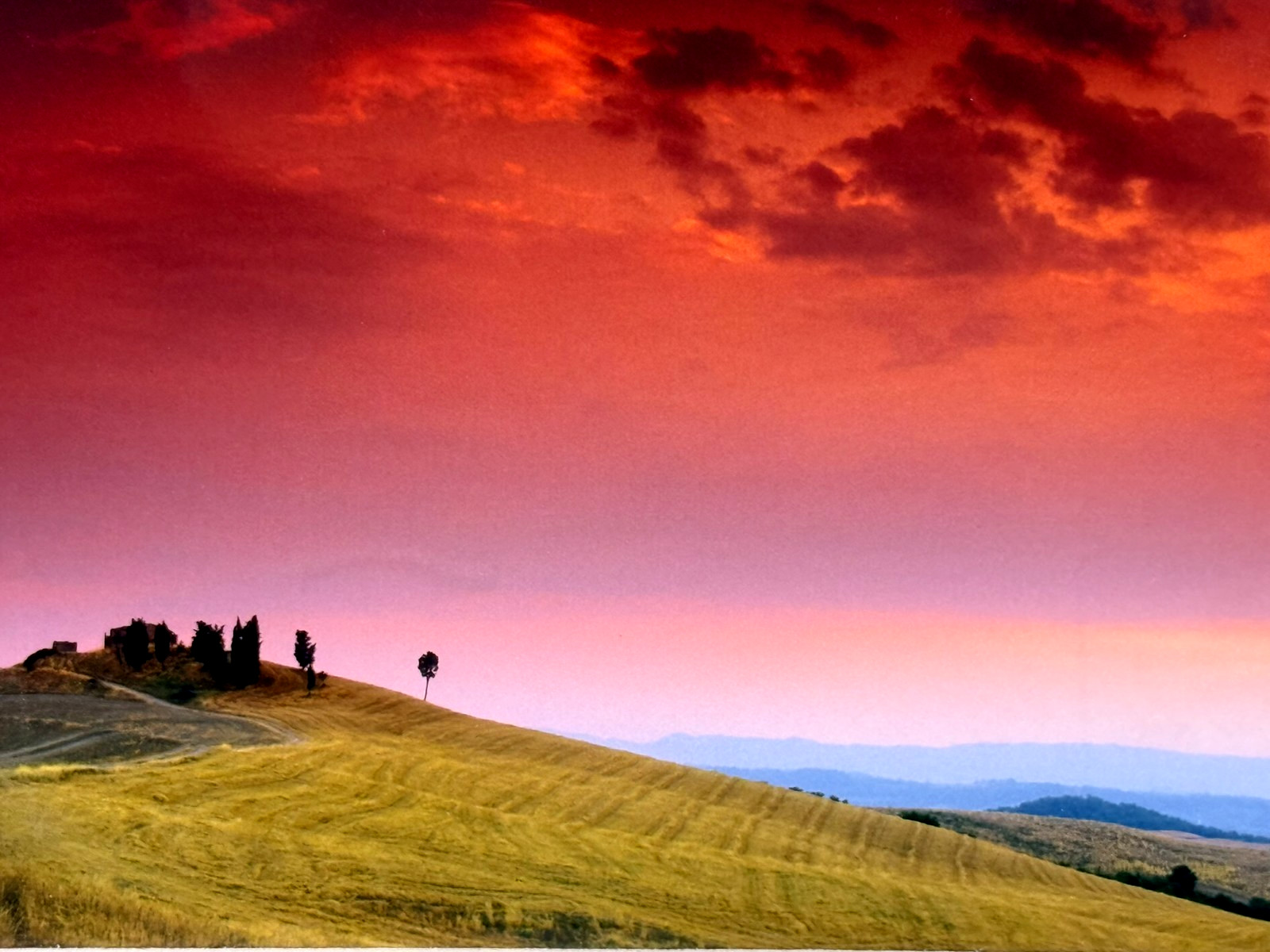 Duccio Nacci Signed Tuscany Photograph 2002 “Toscana, Castelfalfi” Matte 14.5×12