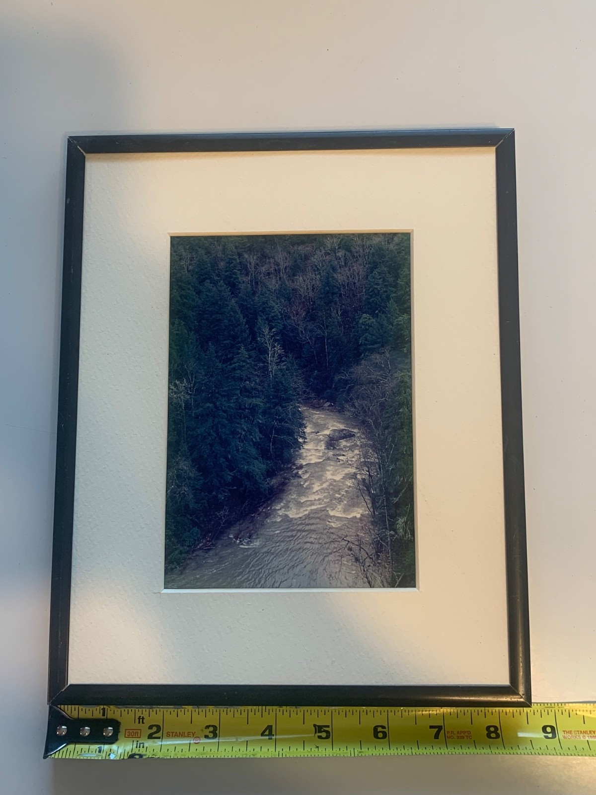 Decorative Color Landscape Photograph River and Forest Scene