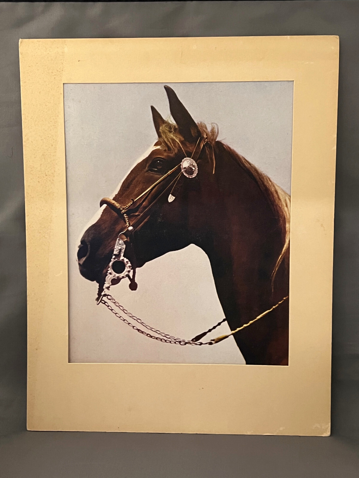 Standard Arts No. H8 “Feckles” Horse 11″ x 14″ Matted Photograph