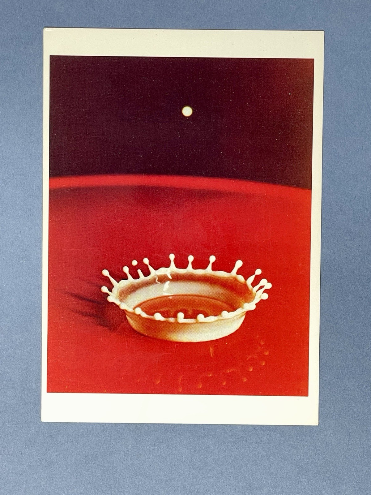 Milk Drop Coronet By Harold D. Edgerton Fotofolio Art Print Card 1988