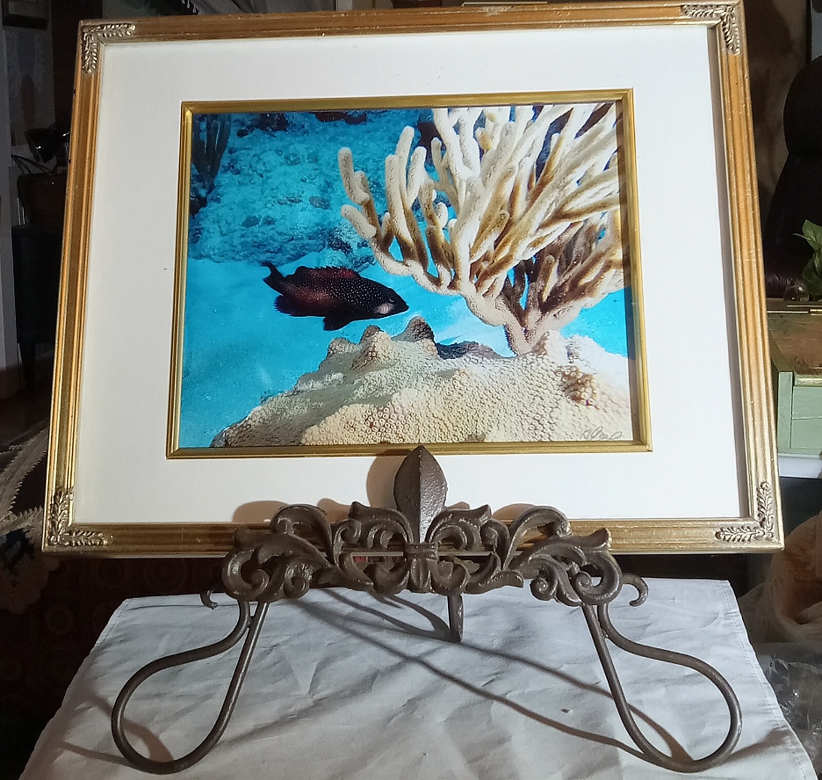 Underwater Jewels By Alex Taylor 8×10 Framed Archival Paper & Ink Digital Photo