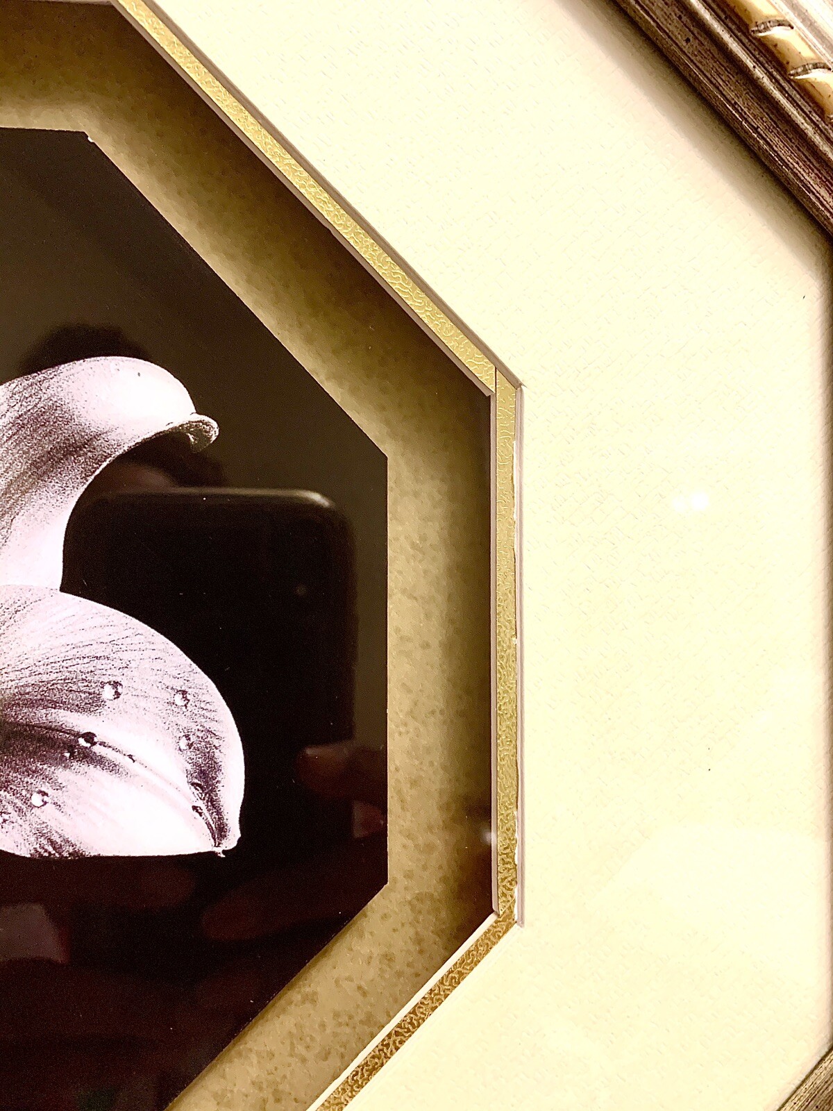 Beautiful Vintage Lily Black & White Octagon Matted Framed Art Print
