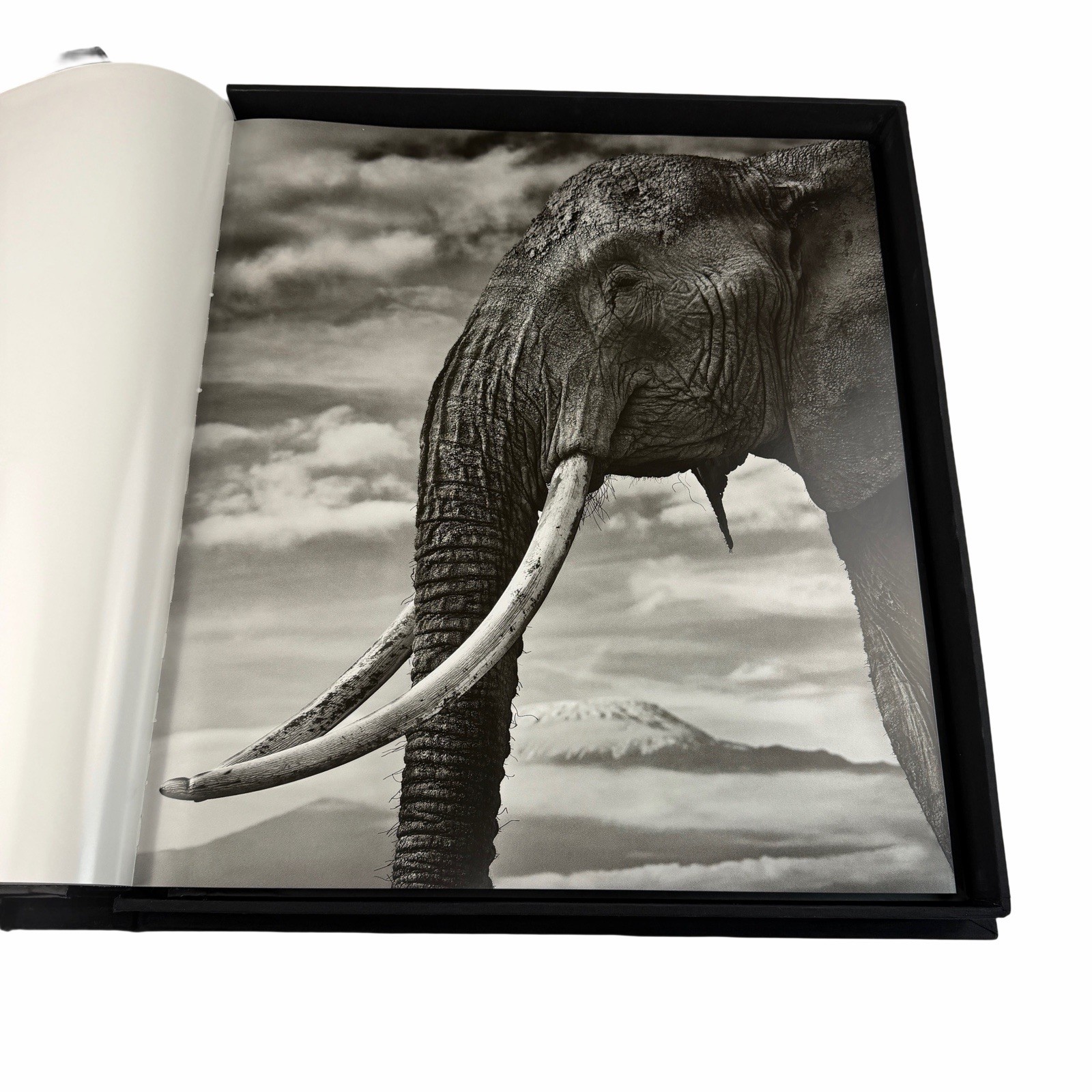 David Yarrow Wild Encounters Signed Book Rizzoli Artist Proof AP Clamshell Box