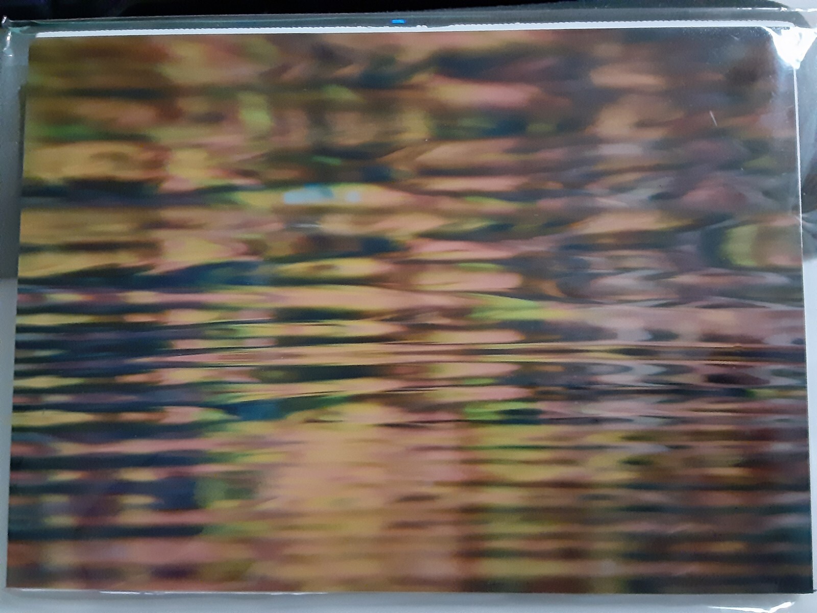 Joe Cruz Photography Florida Wekiva River Sunset Art New Landscape Nature