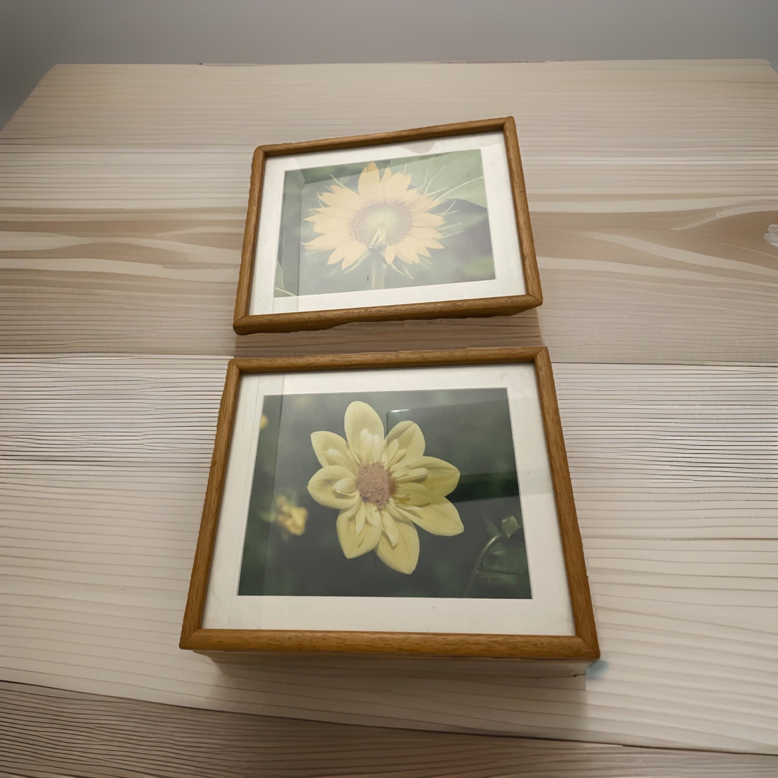 Framed & Matted Sunflower Dahlia Photo Art Vintage 1980’s Signed Caryl Heral
