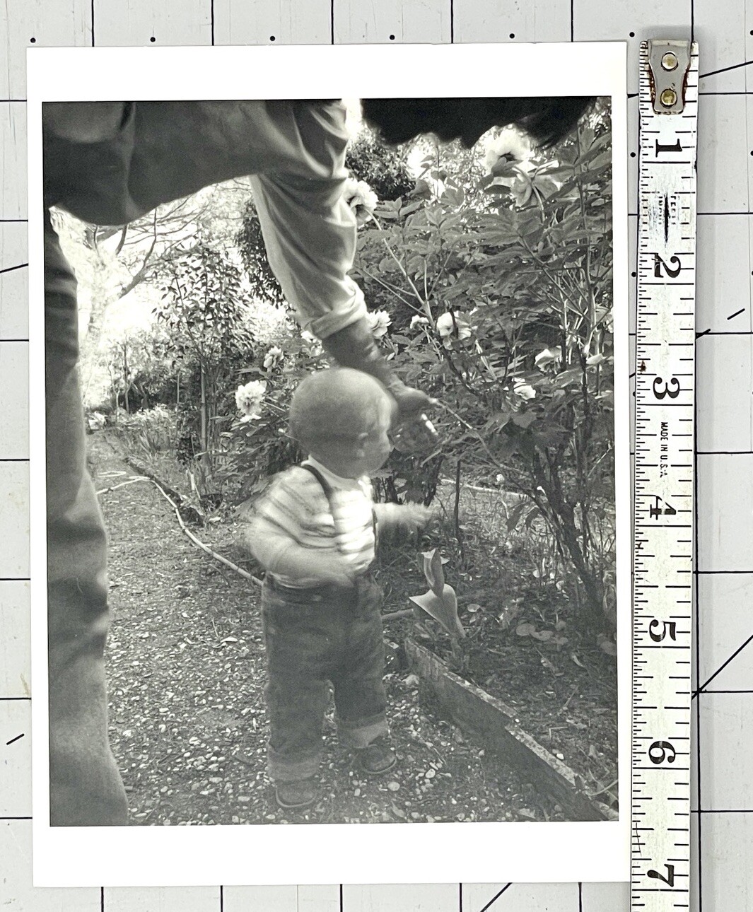 Doug Prince (b. 1943) Case In Flower Garden – 1983 Witkin Gallery Art Photo Card