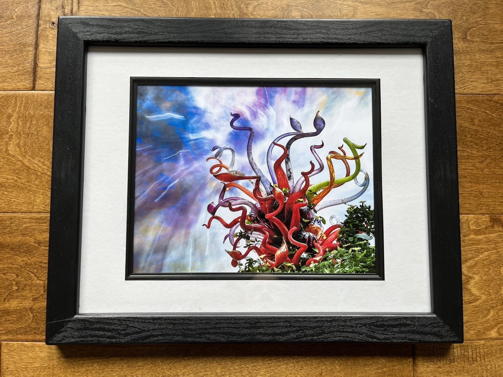Chihuly Glass By Doug Barlow Atlanta Botanical Gardens Archival Photo Art 15X12