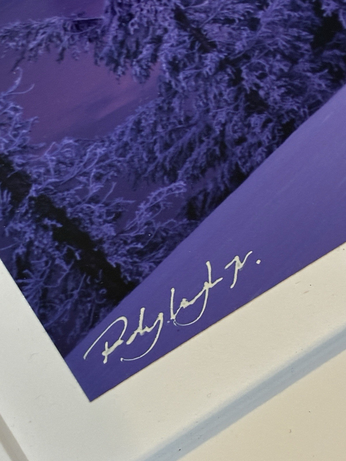 Rodney Lough Jr “Serenity Speaks” Signed Print And Framed Crater Lake