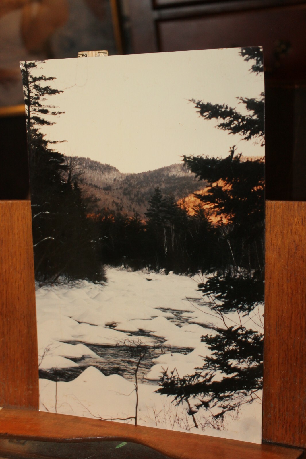 Vintage 8×12 Photo W. Beebe East Tennessee Frozen Mountain Stream Snow Winter