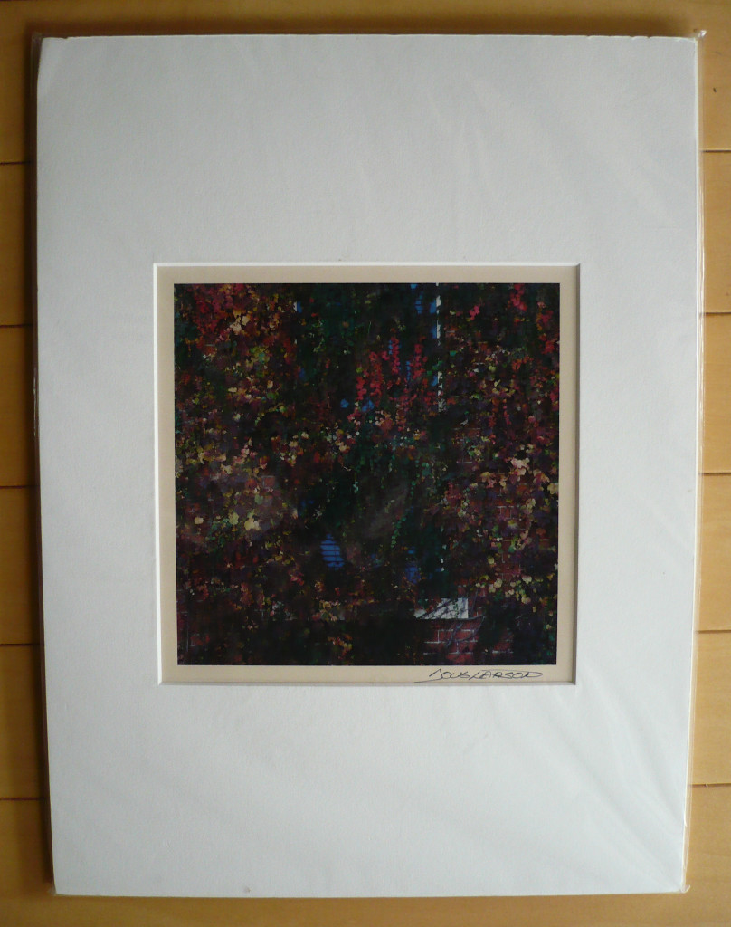 DOUG LARSON, MODERN PHOTO WI, Wisconsin photography, VINES MODERNISM VINTAGE