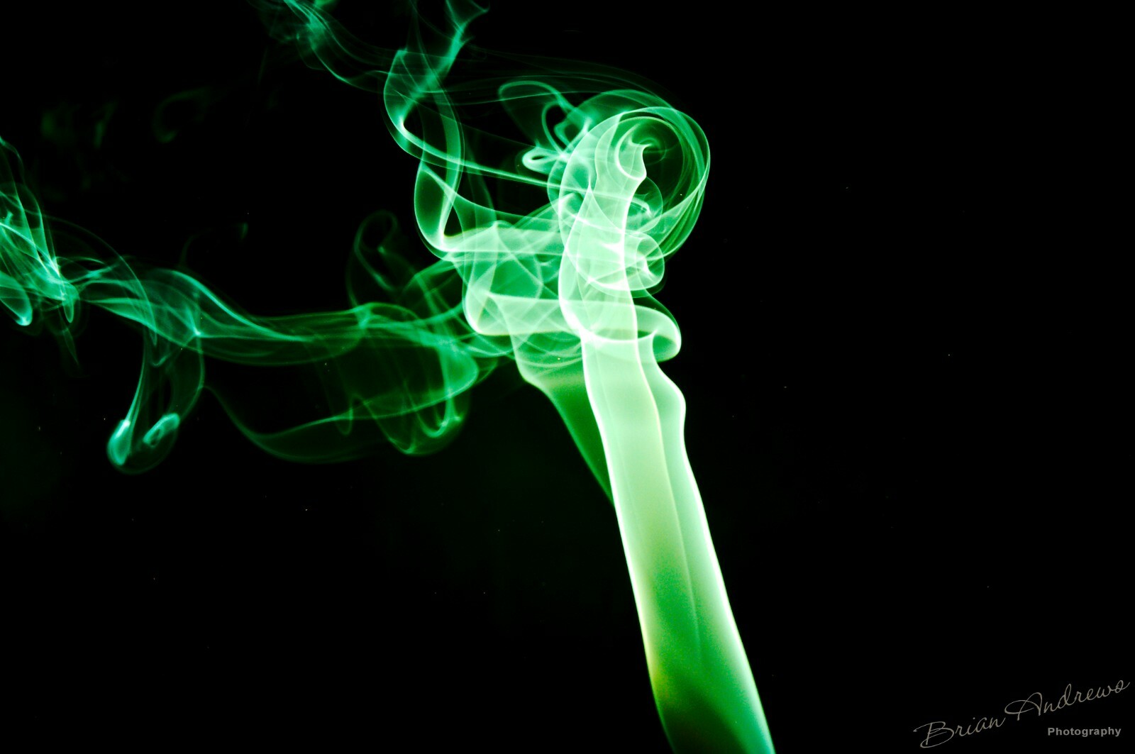Mesmerizing Macro Photographs – Digital