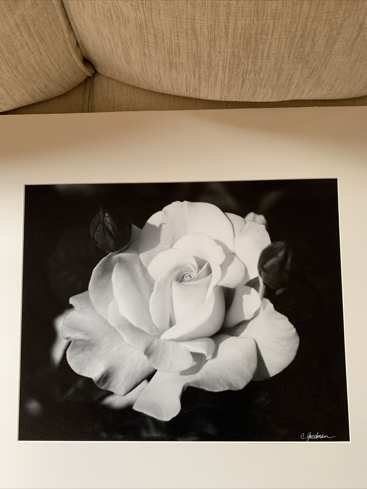C. Goodman 2002 Original Signed Macro Photography White Rose 25×27.5 Matted
